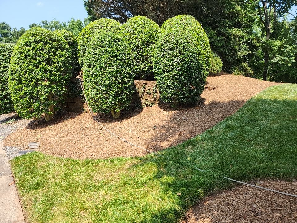 concrete Clean using cleaner by G&H Home Tech Pros LLC