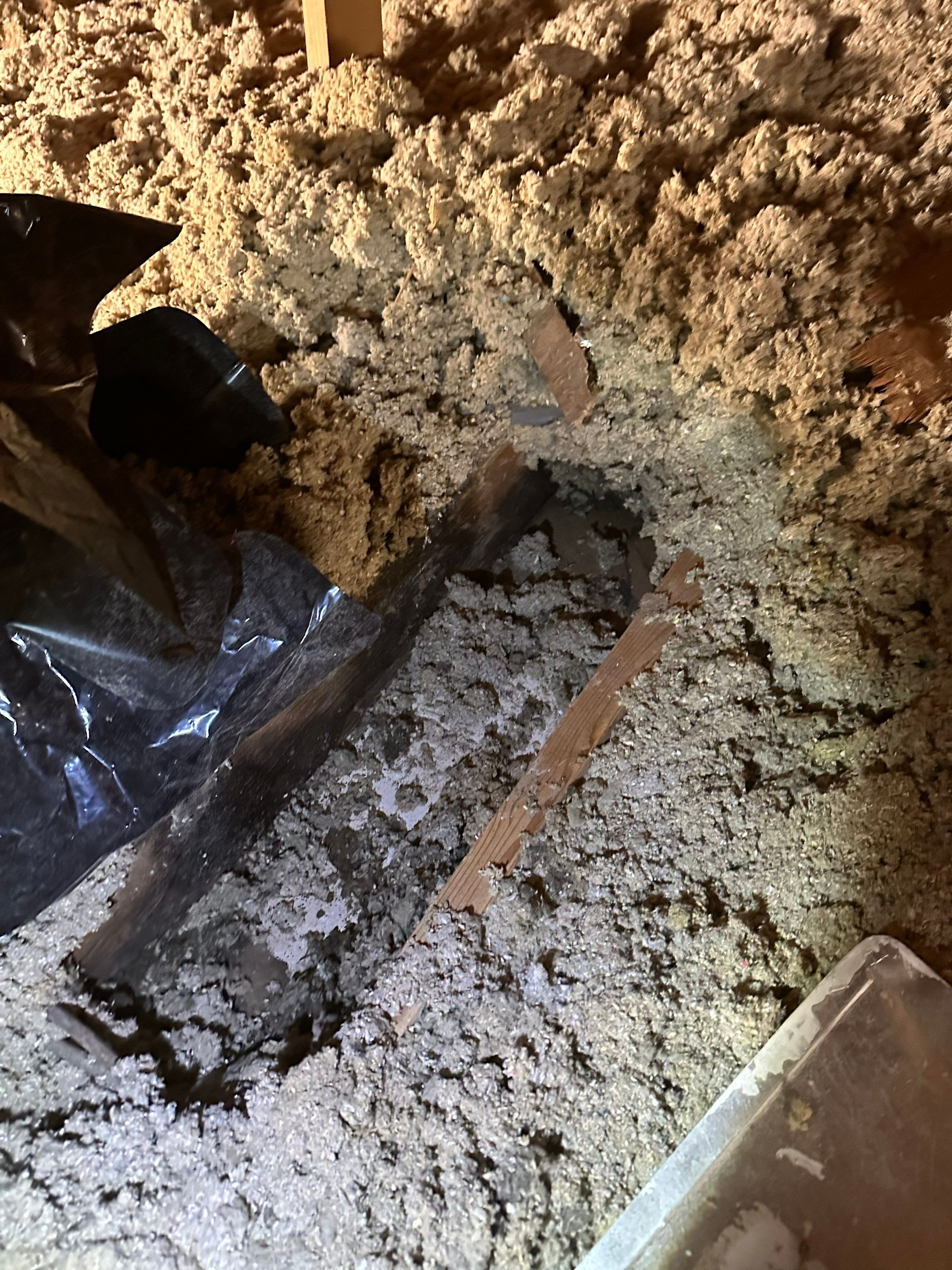 Mold in Crawl Space in Broomfiled, CO by Alpha Restoration 
