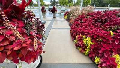 Commercial Concrete Surface Cleaning