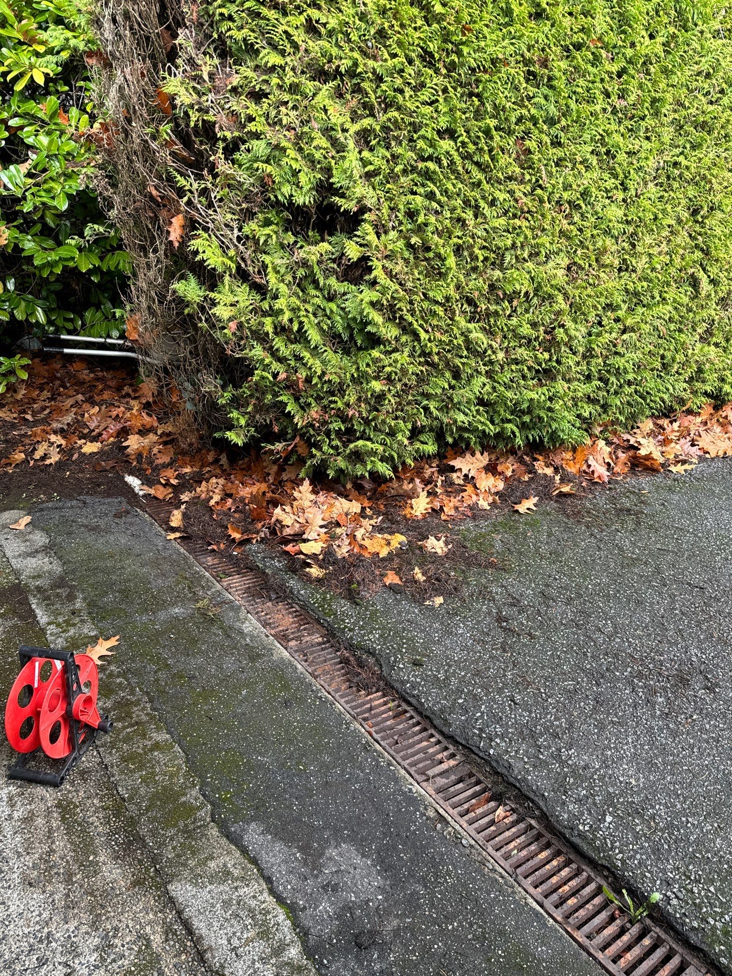 Gutter Cleaning- Taylor Way by YVR Construction Group