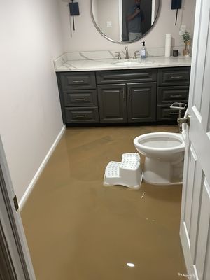 Project in Troy