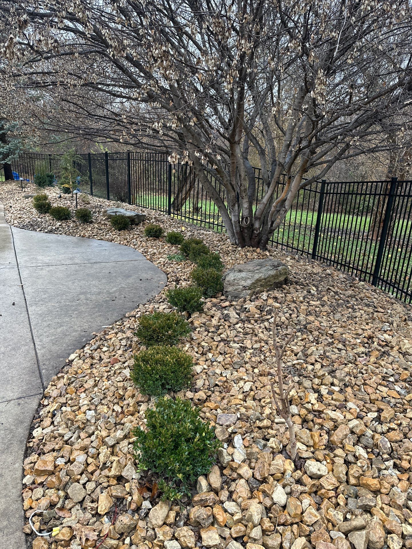 Pool Landscape by LAND ESCAPES LLC