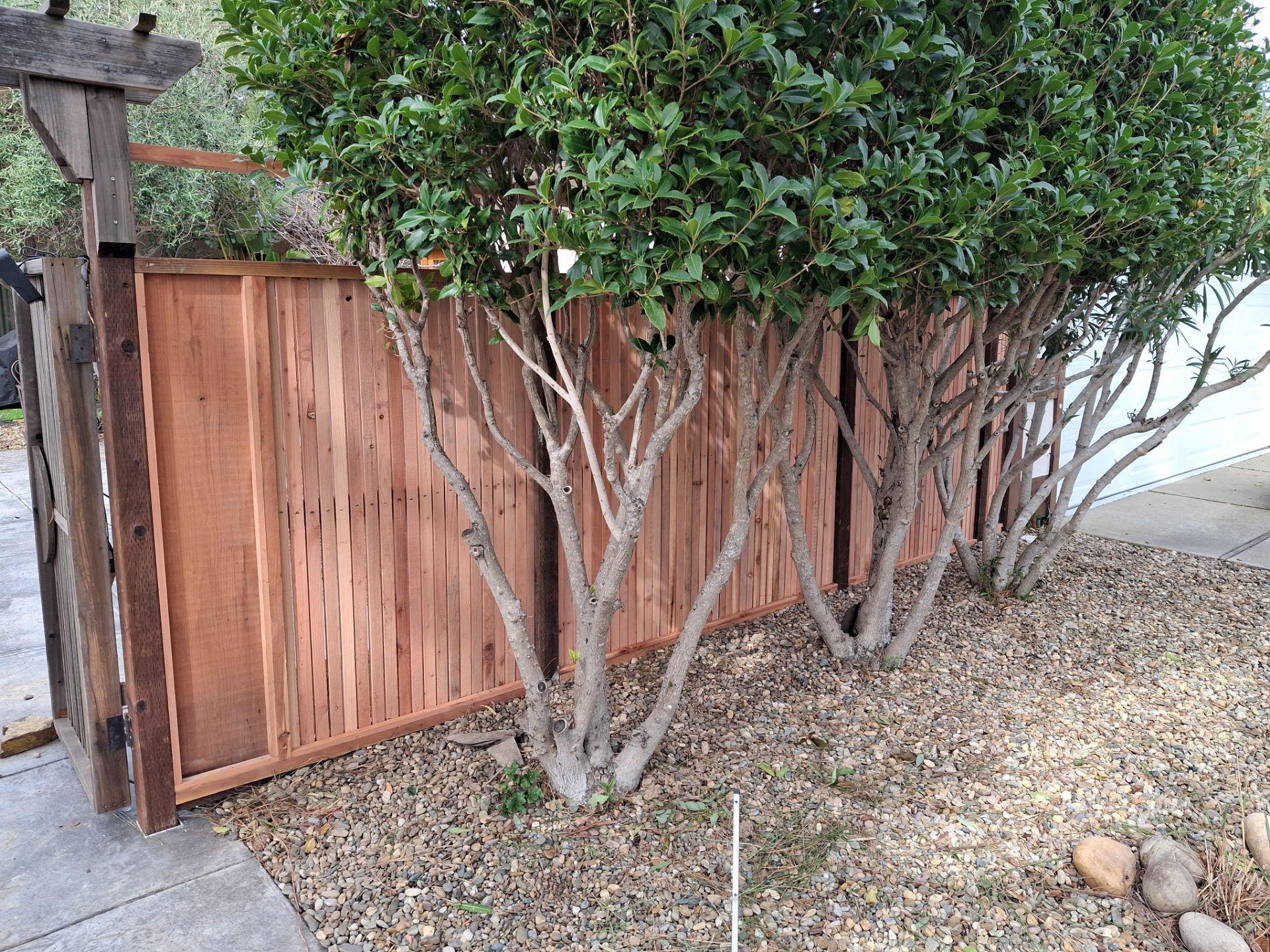 Custom Nail-on by Fremont Fence Inc