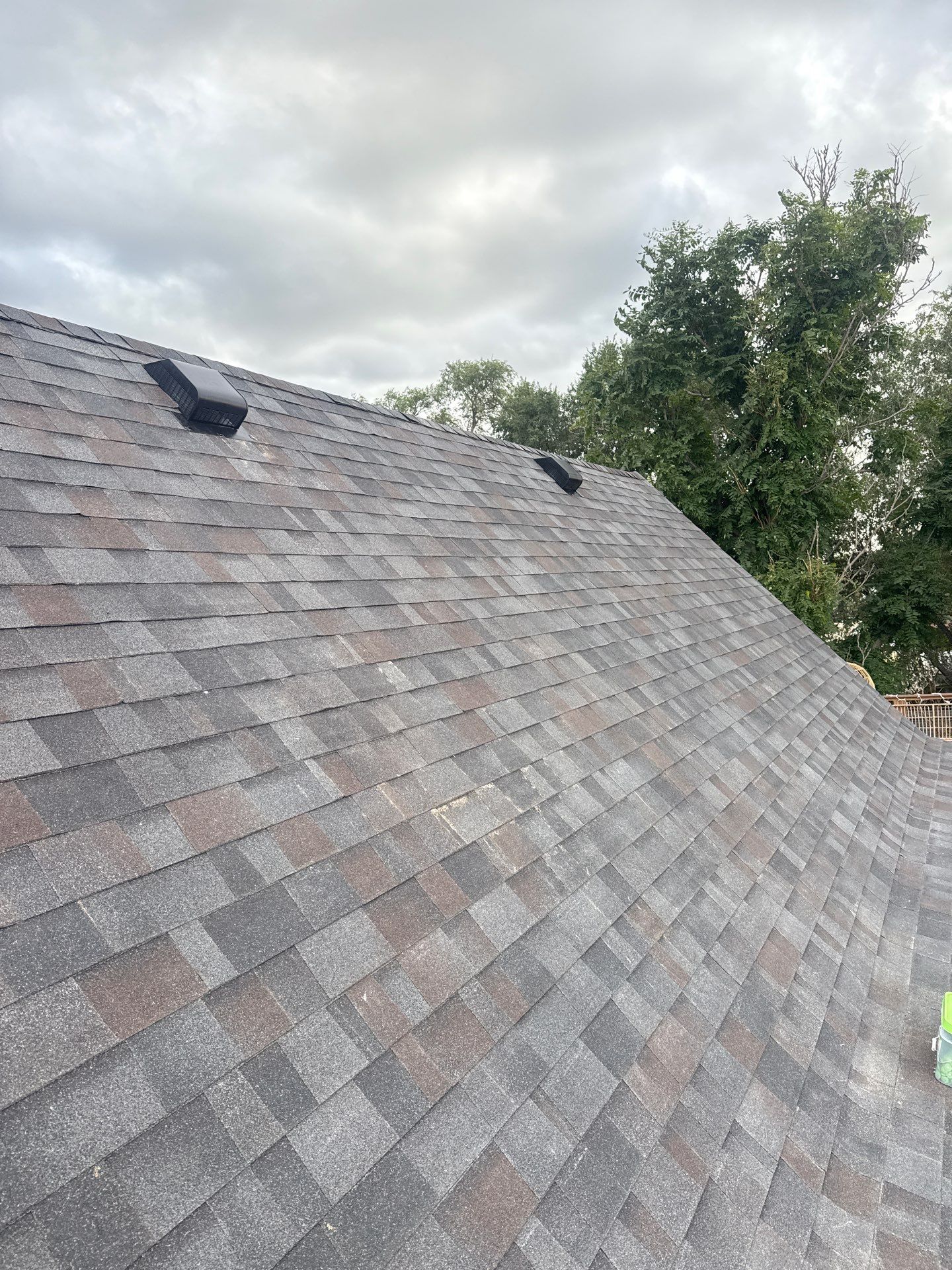 Malarkey Highlander Black Oak by Loyal Nine