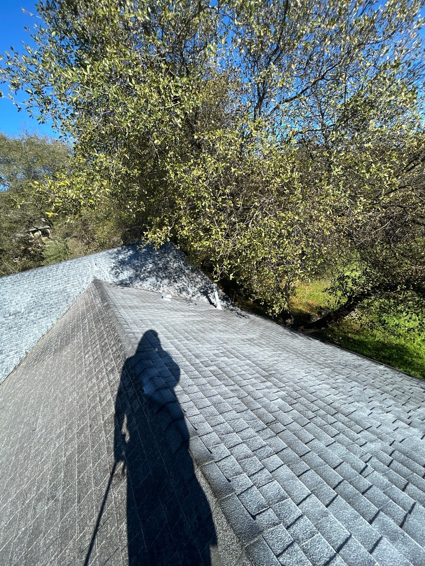 Roof Rejuvenation using Roof Maxx Treatment by Roof Maxx of Folsom