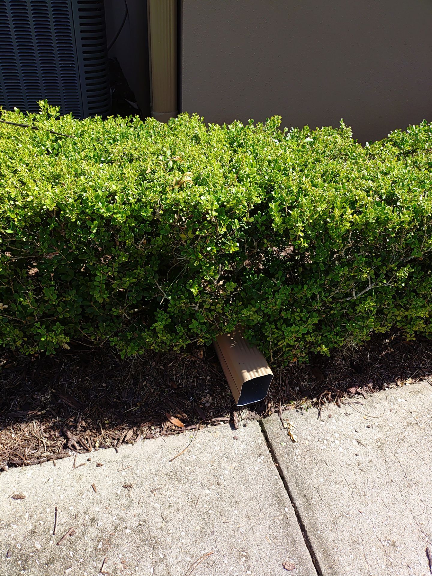 Replace gutter using Gutter Guards, Seamless Gutters, New Downspouts in Palm Harbor FL by Gutter Professors