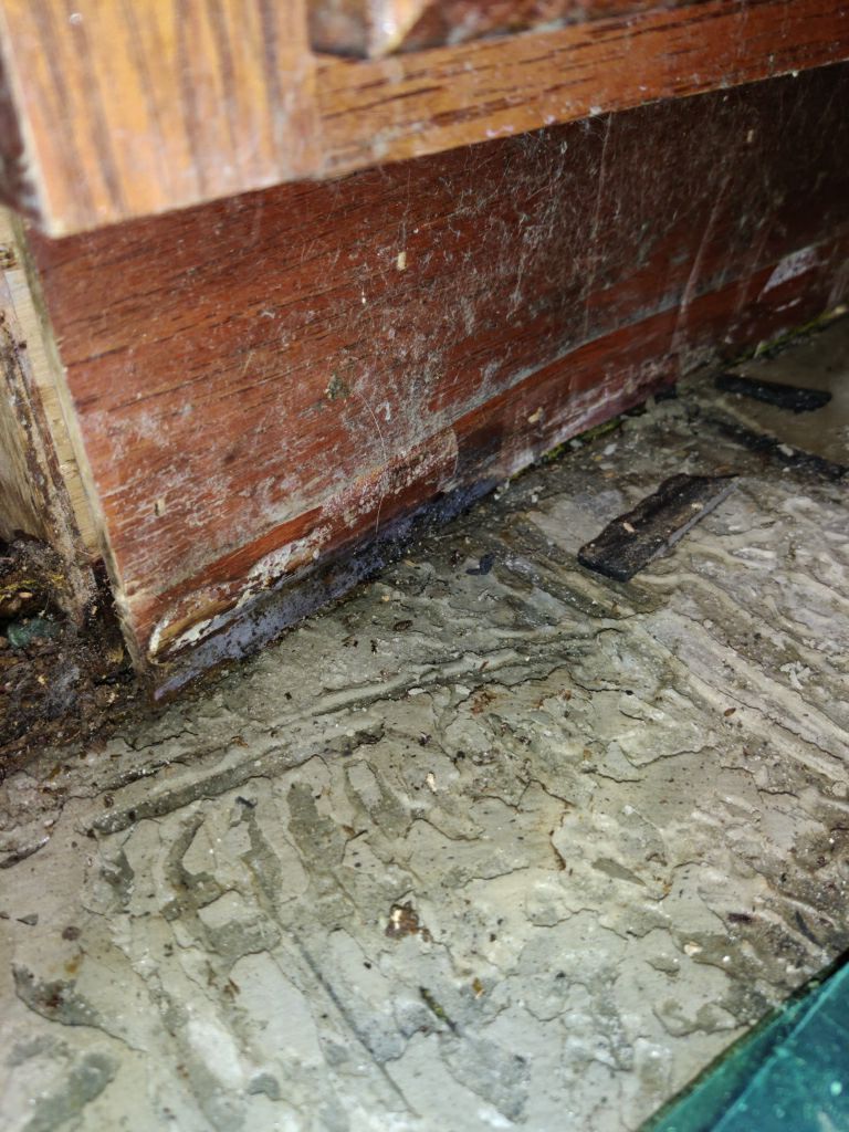 Mold Remediation using Containment by Accountable Home Services