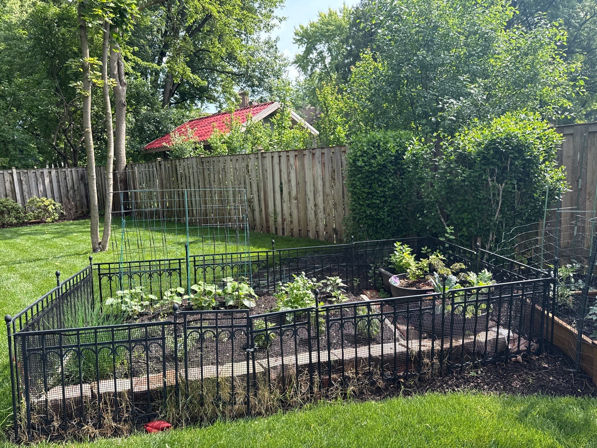 Kevin K. - Deerfield, IL by A&N