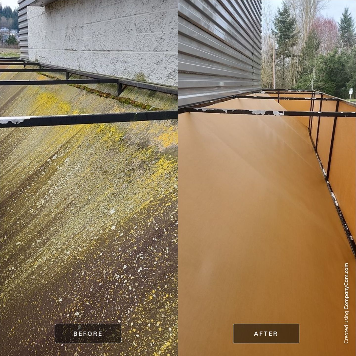 Soft Wash using Soft wash solution by Willamette Outdoor Wash LLC