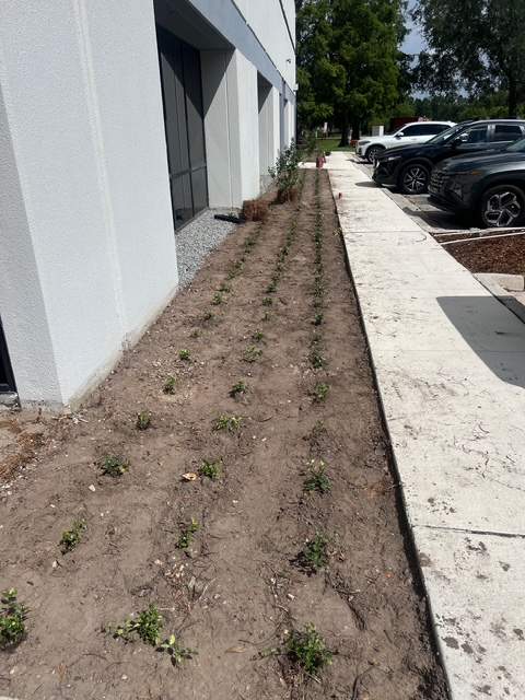 Executive Park | Various Projects by ProGreen Services