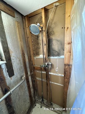 Mold Assesment