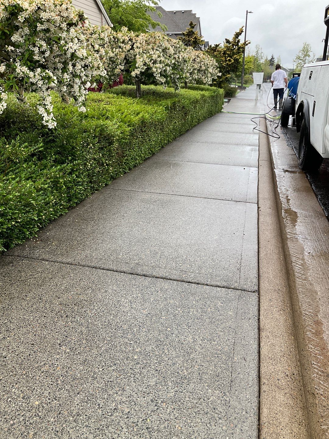 Driveway wash using Surfactant by Willamette Outdoor Wash LLC