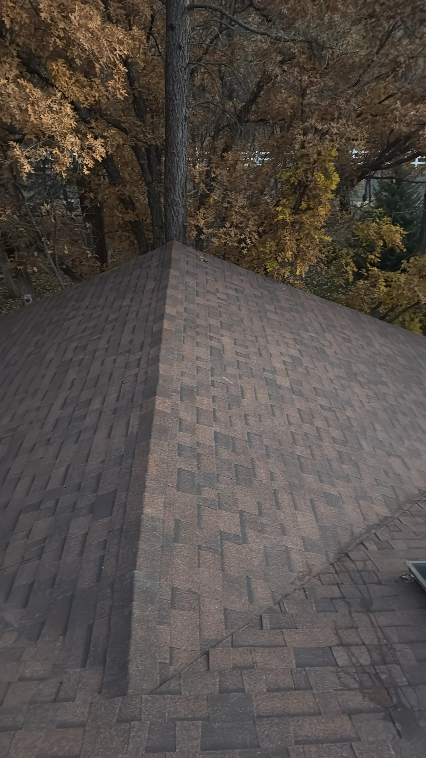 Antique Brown - Pinetop-Lakeside by Slade Roofing