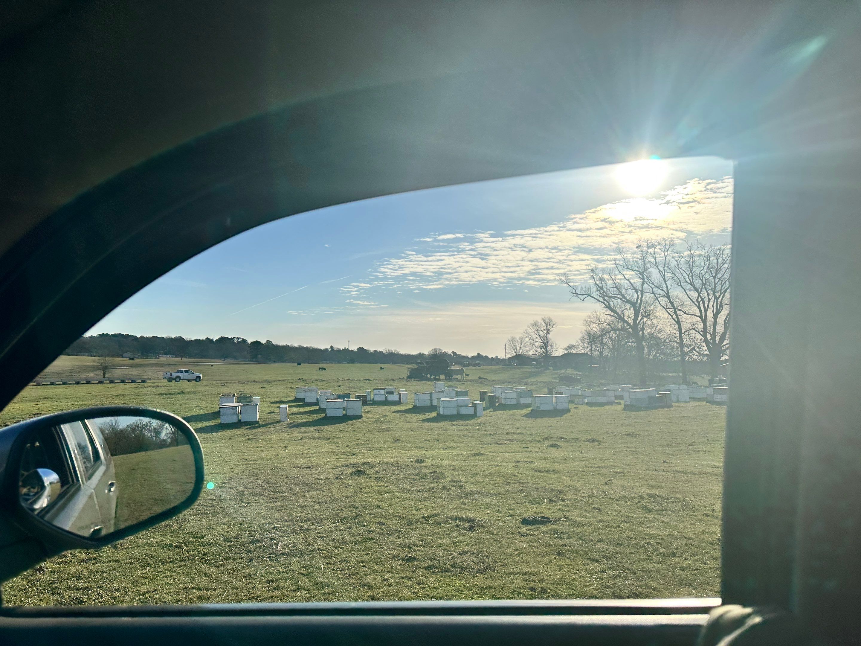 Clubb's Cow Farm Apiary by Rockwall Honey Bee Company