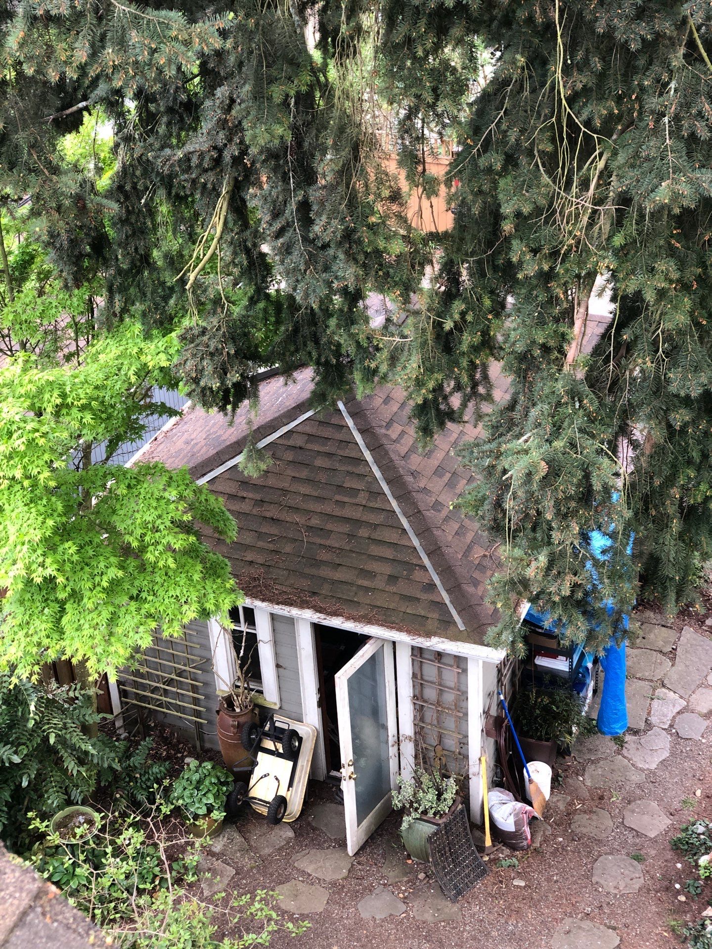 Project in Seattle by Peaks and Valleys Construction