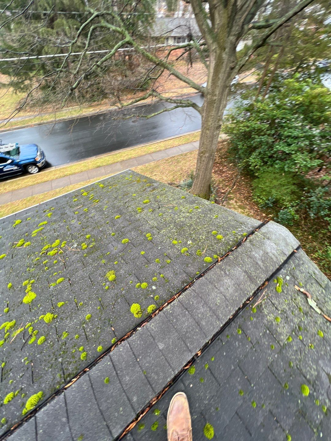 Fairfax: CertainTeed Landmark Pro Designer Shingles in Max Def Charcoal Black by RM Banning, Inc.