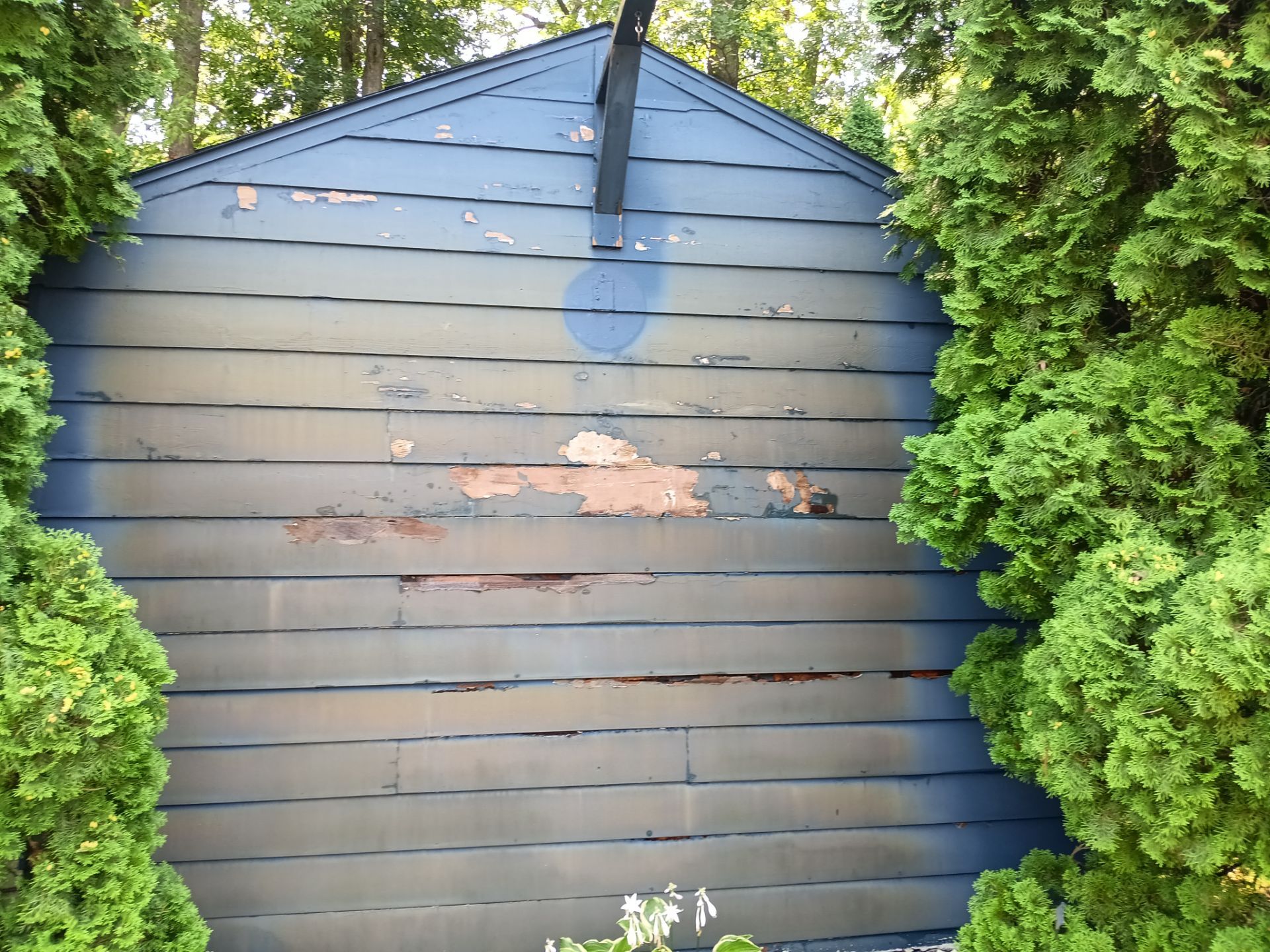 Deck and Shed Re-paint by Gordon Painting