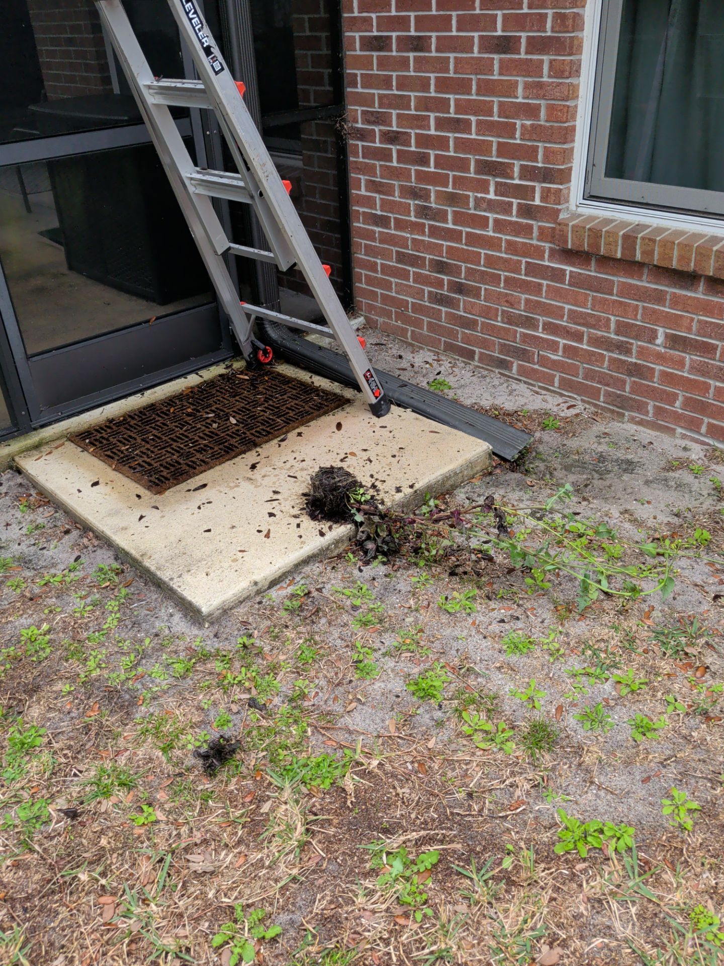 Gutter Cleaning & Debris Removal — Oceanway (Northside Jacksonville) by Harmoni Home Services