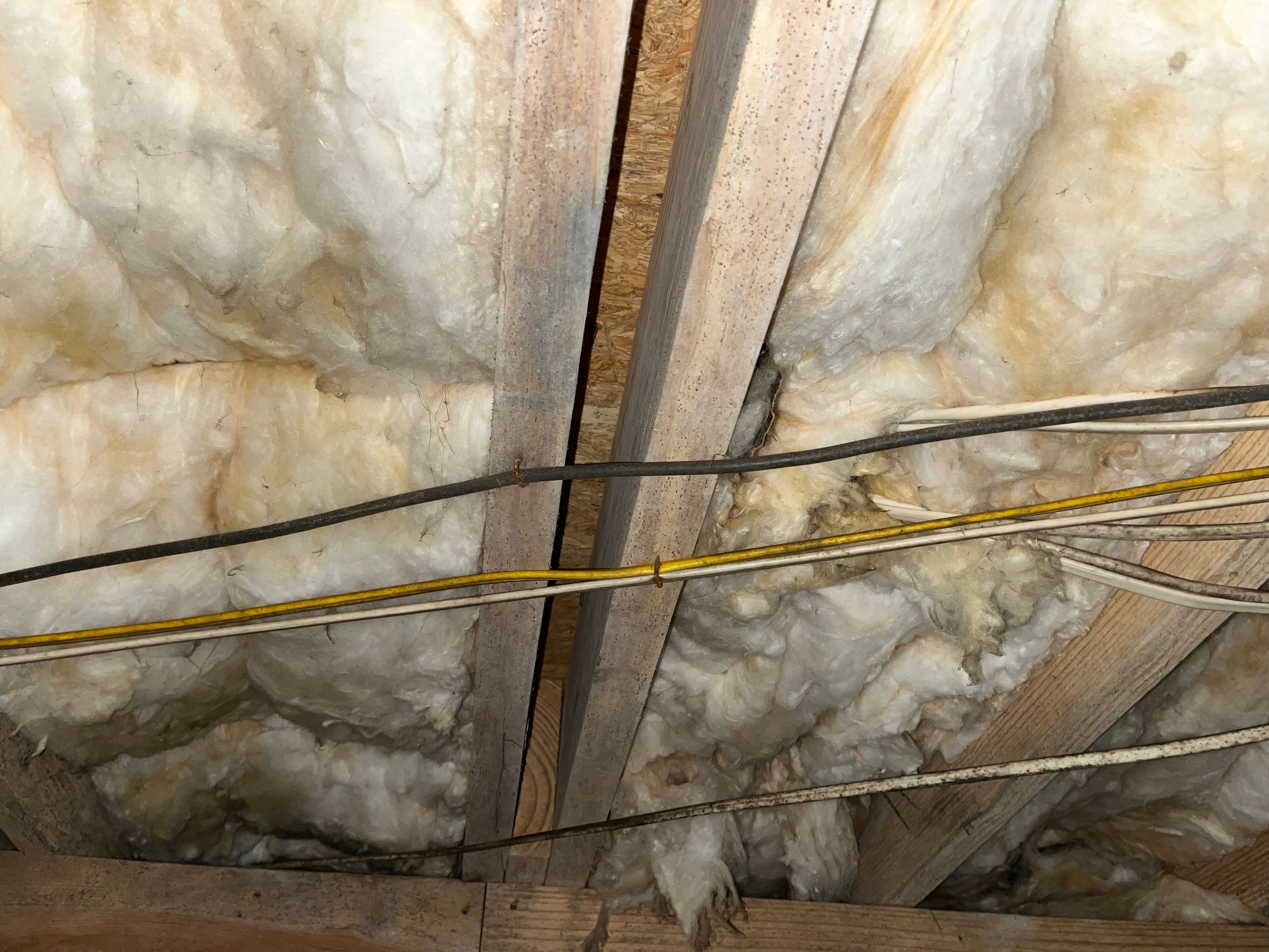 Impact Choice Encapsulation with French Drain, Mold Removal, and Crawlspace Door by Impact Crawlspace