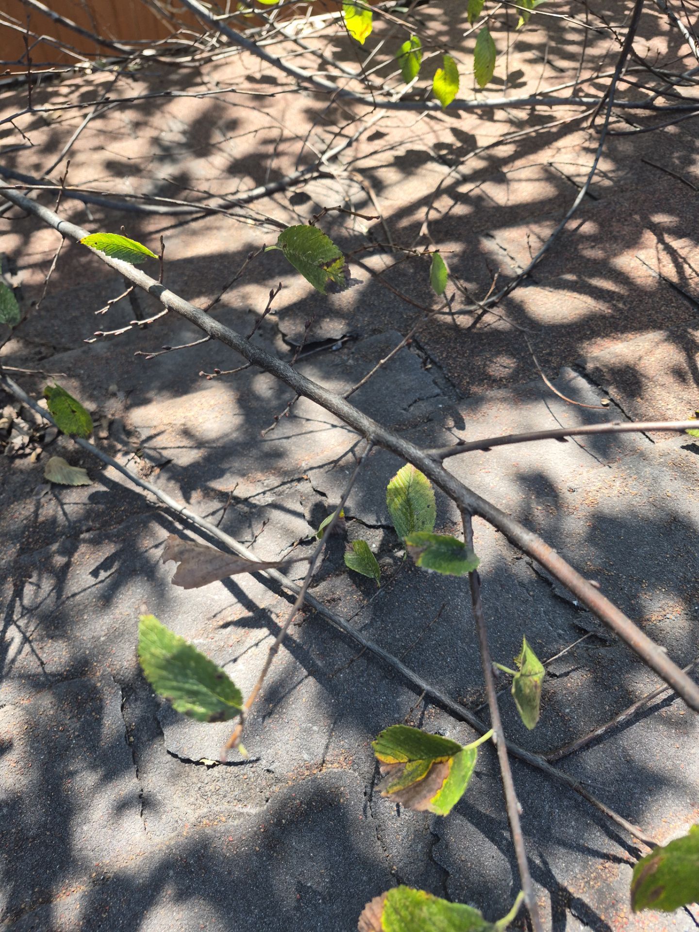 Residential Tarp Repair by Becker Roofing and Exteriors