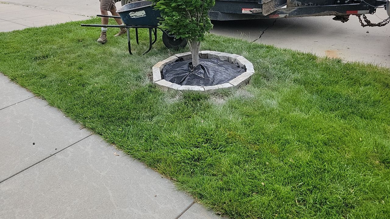Landscape upadates. by New Horizon Landscapes