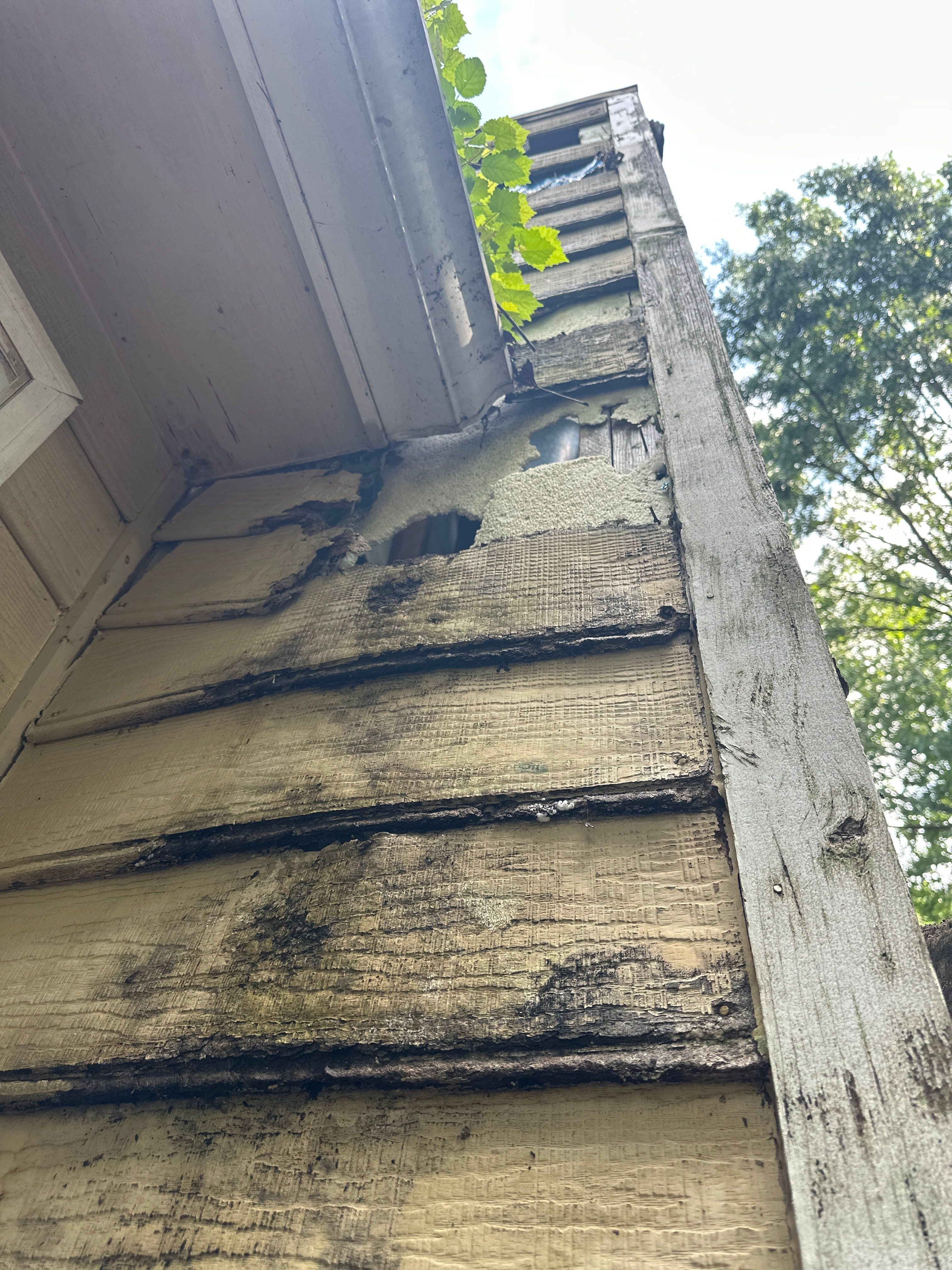 Dallas, GA Siding Replacement, Exterior Painting, and Gutter Install by Nelson Exteriors 