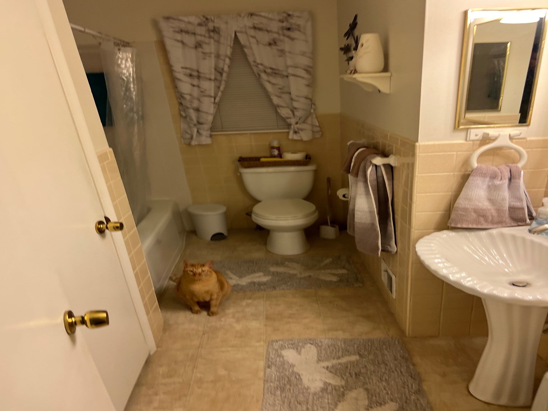 Bathroom Remodel using Acrylic by The Shower Company