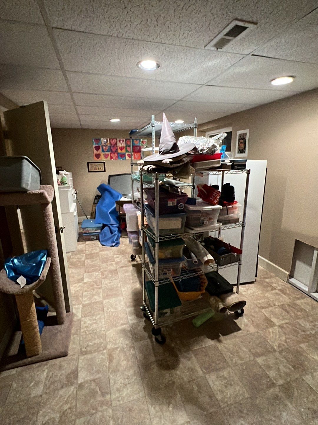 Mold Damage by Accountable Home Services