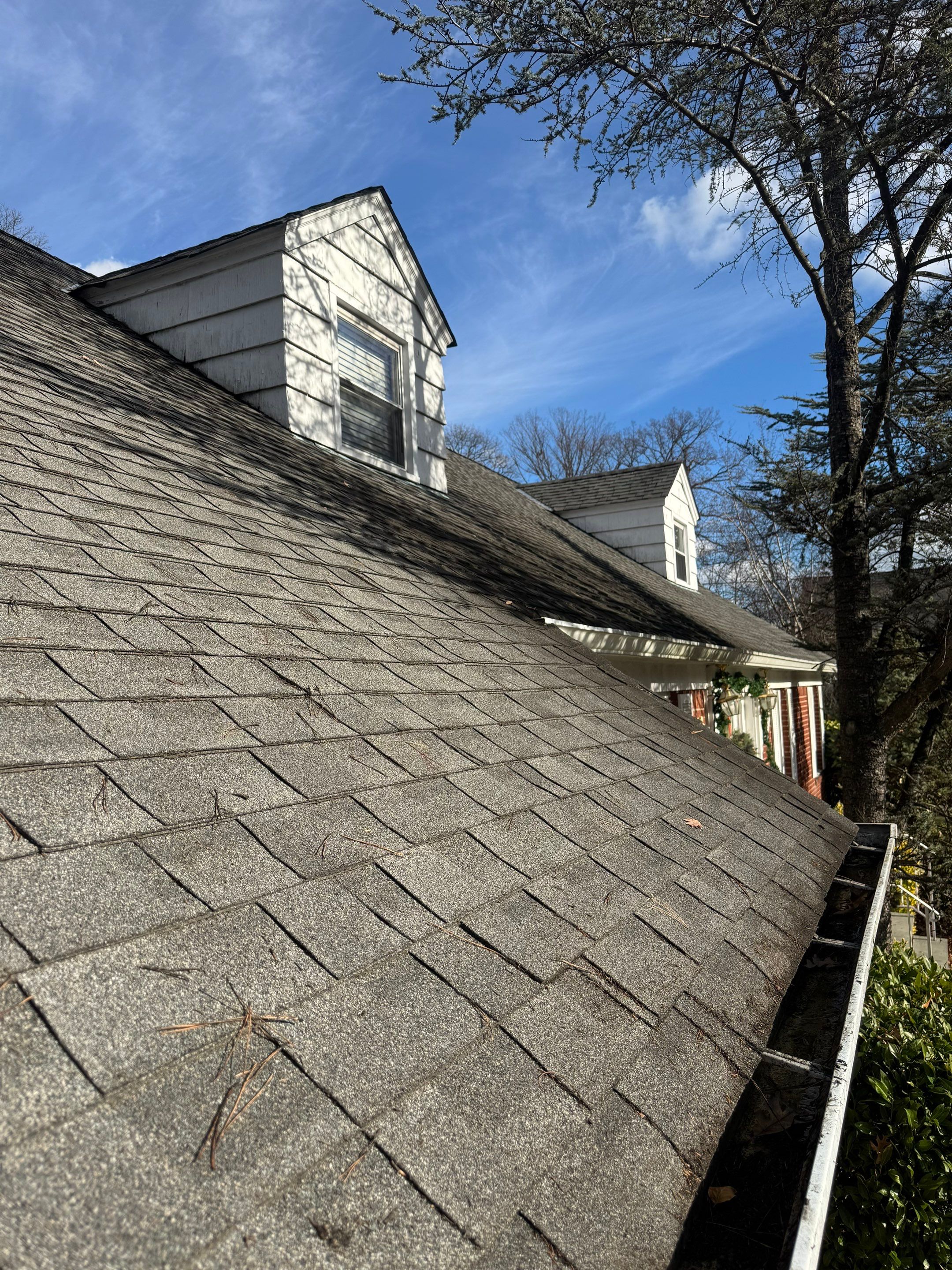 Needlemania! by Above All Gutters 