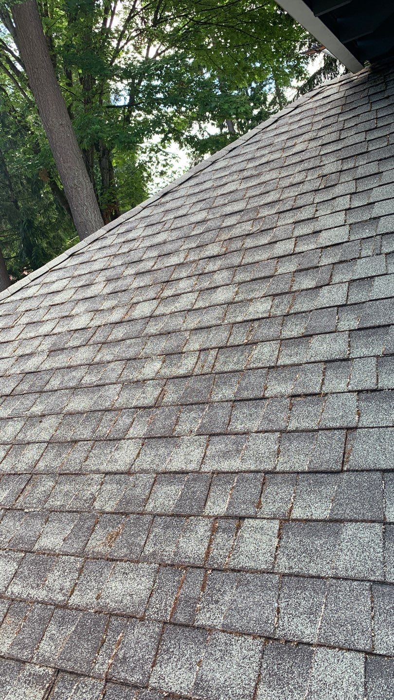 Softwashed in many Years back, and organic regrowth significant by DawnSky LLC