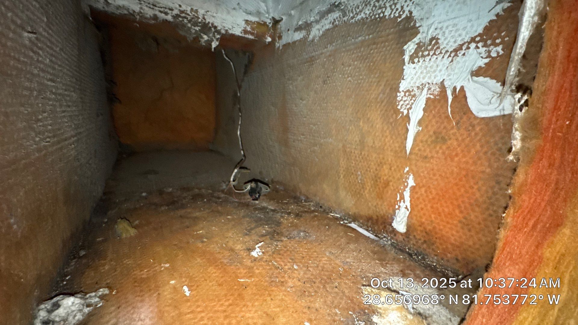 Air Duct Cleaning in Clermont by Hygienic Air, Inc