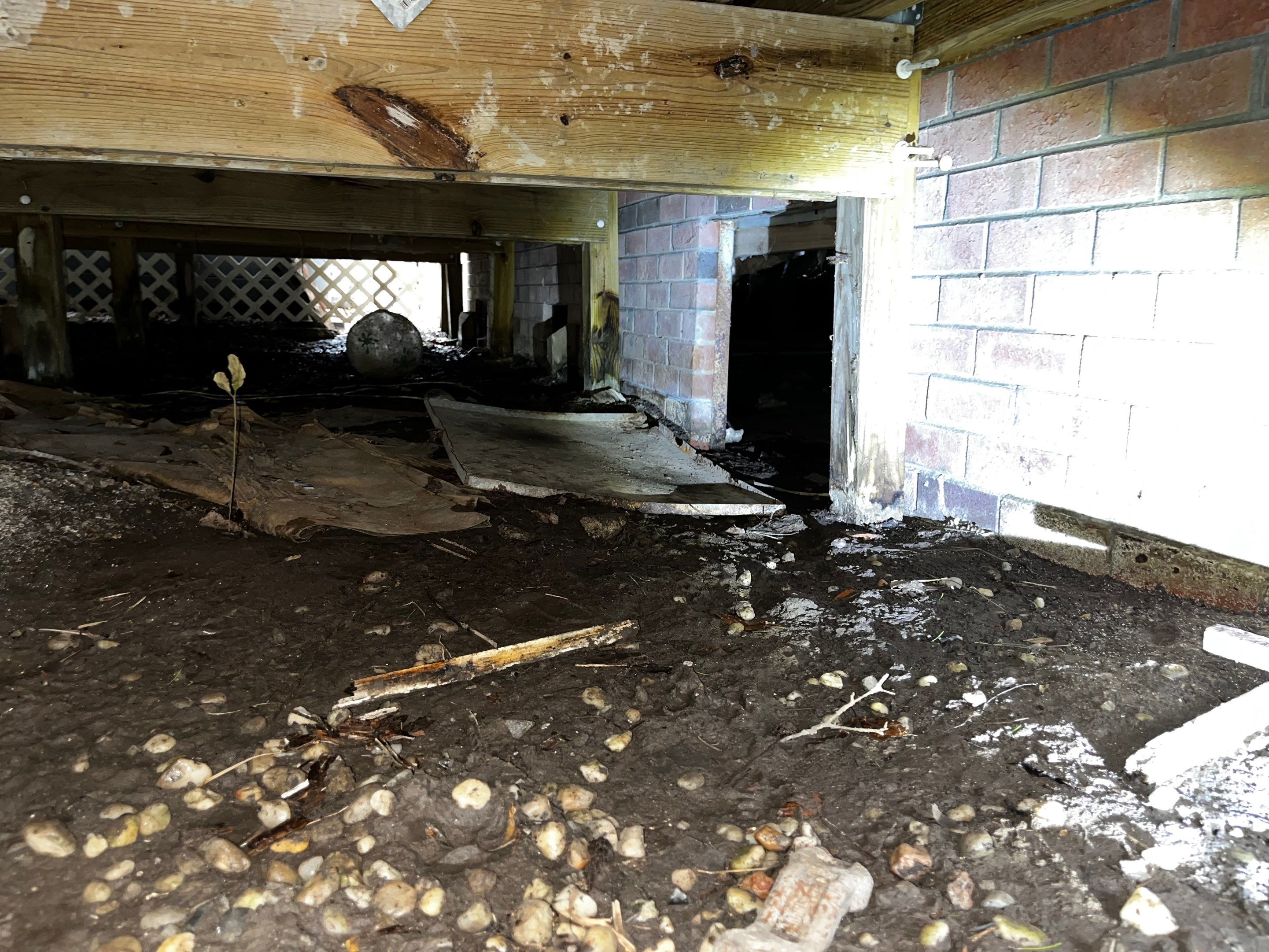 Impact Choice Encapsulation with French Drain and Crawlspace Doors by Impact Crawlspace
