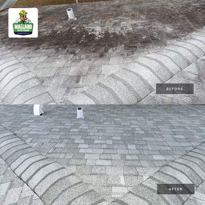 Shingle Roof Cleaning & Debris Removal