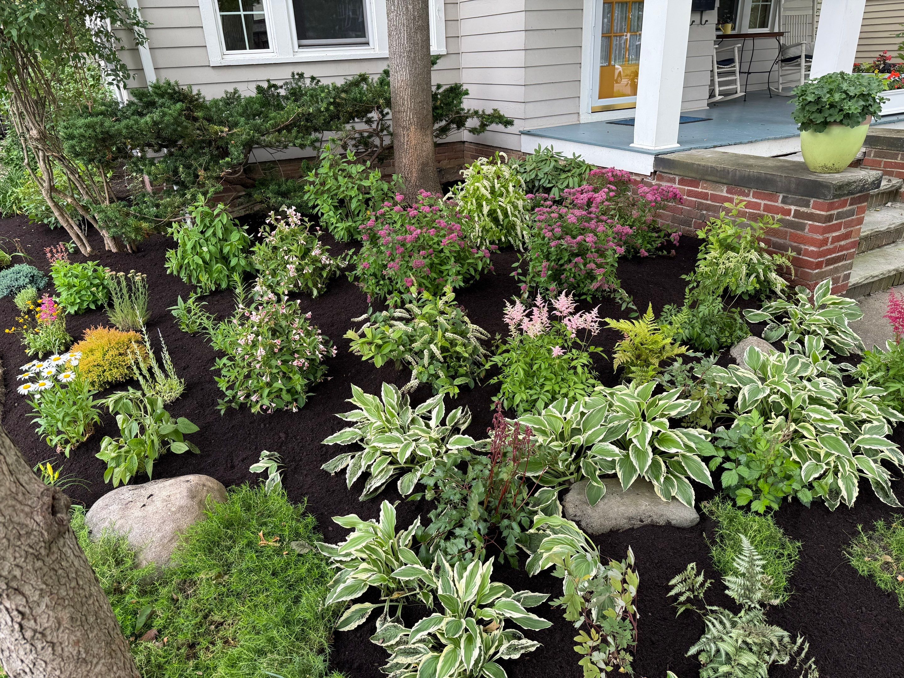 Woodland Flora Project by Elm Rose Gardens