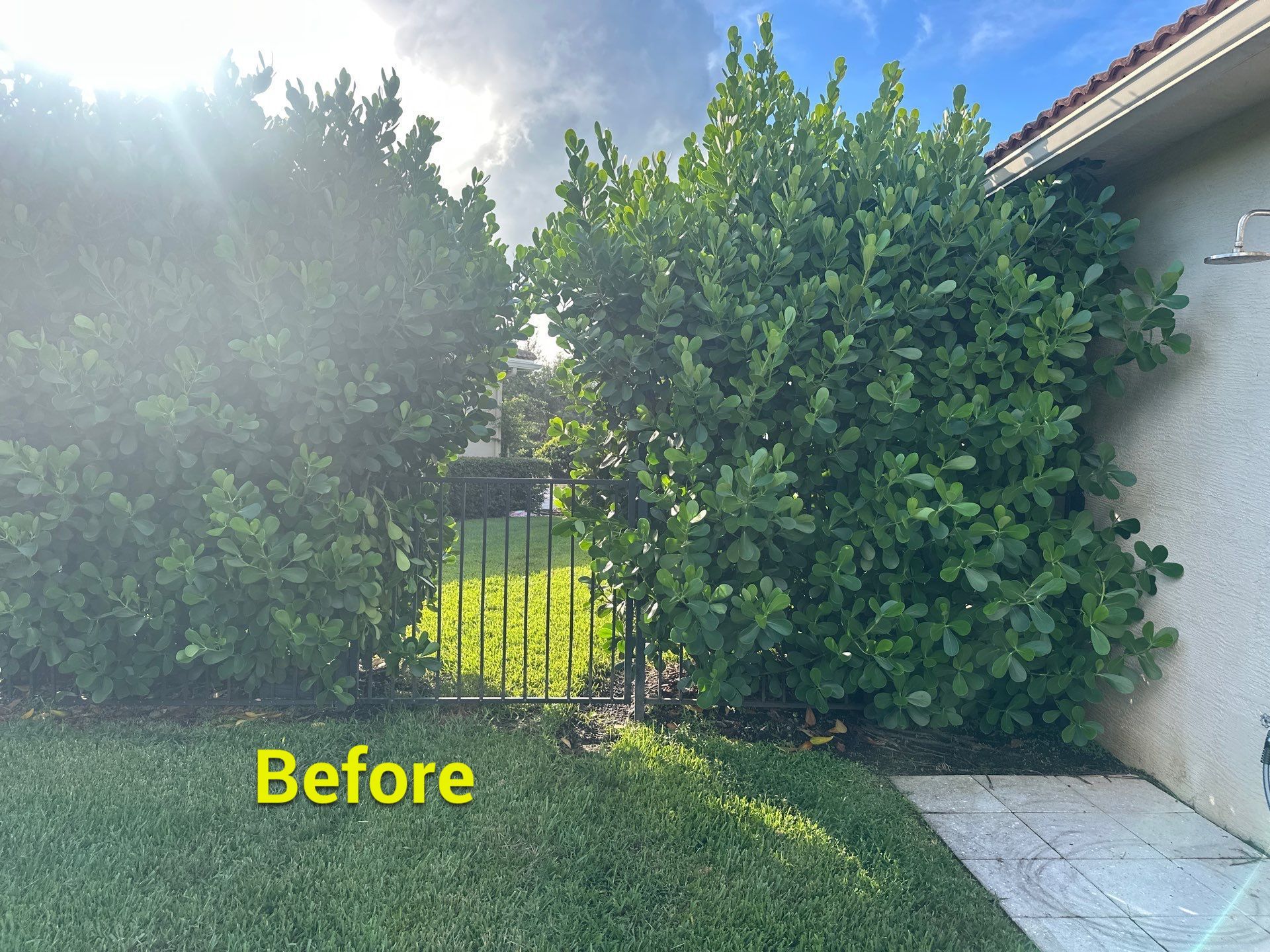 From Overgrown to Picture-Perfect - Stuart Refresh by Alpha Zeta Enterprises Inc