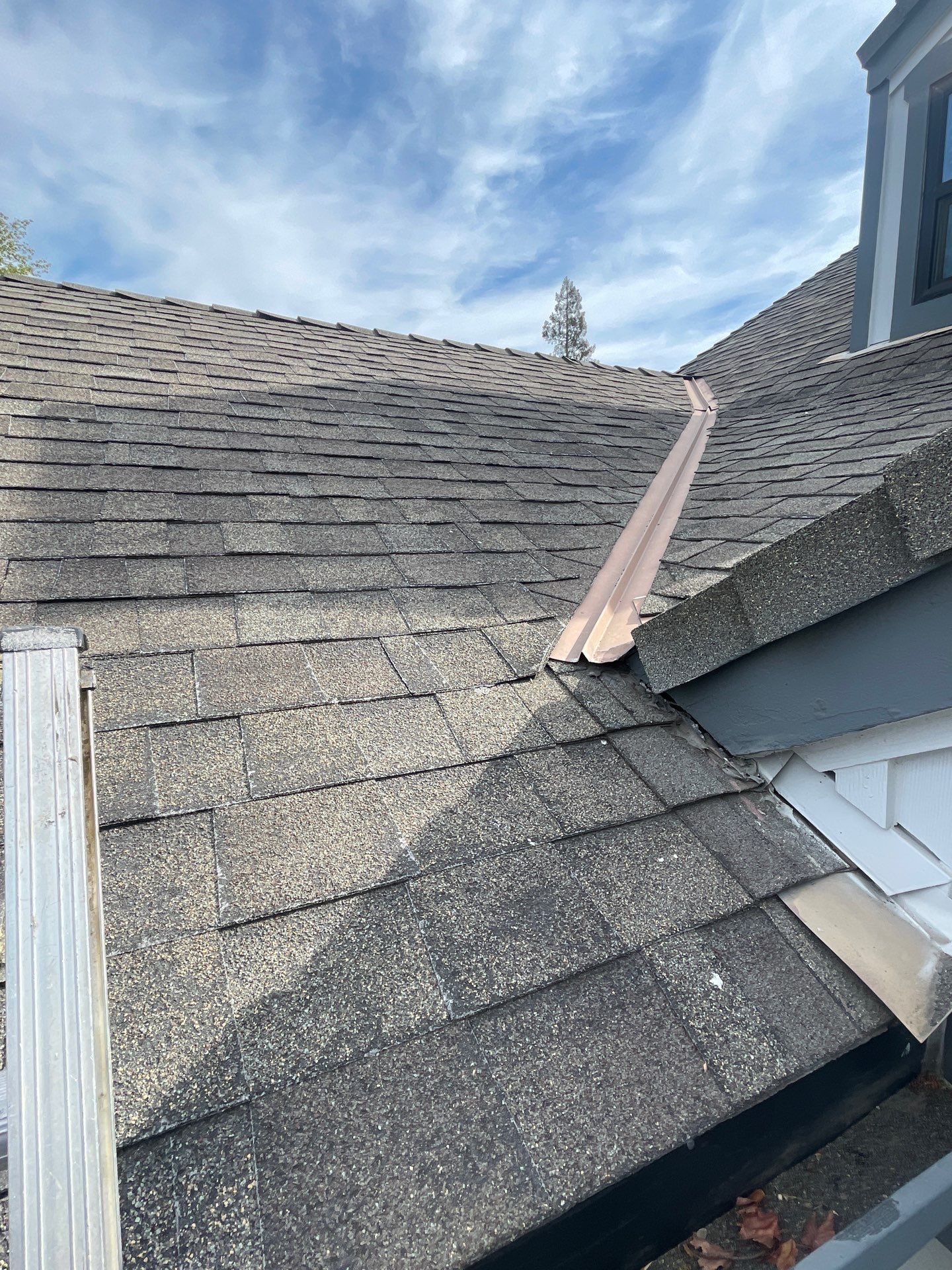 Roof Rejuvenation using Roof Maxx Treatment by Roof Maxx of Folsom
