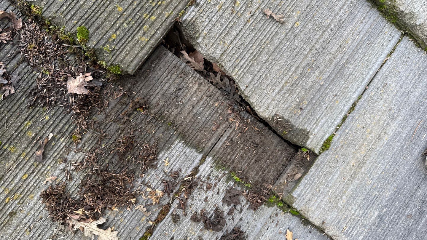 Project by NuLead Construction Inc by NuLead Construction Inc