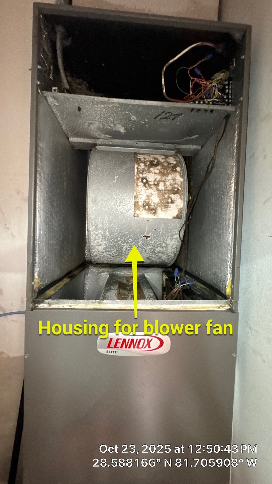 AIr Duct and Dryer Vent Cleaning in Montverde by Hygienic Air, Inc