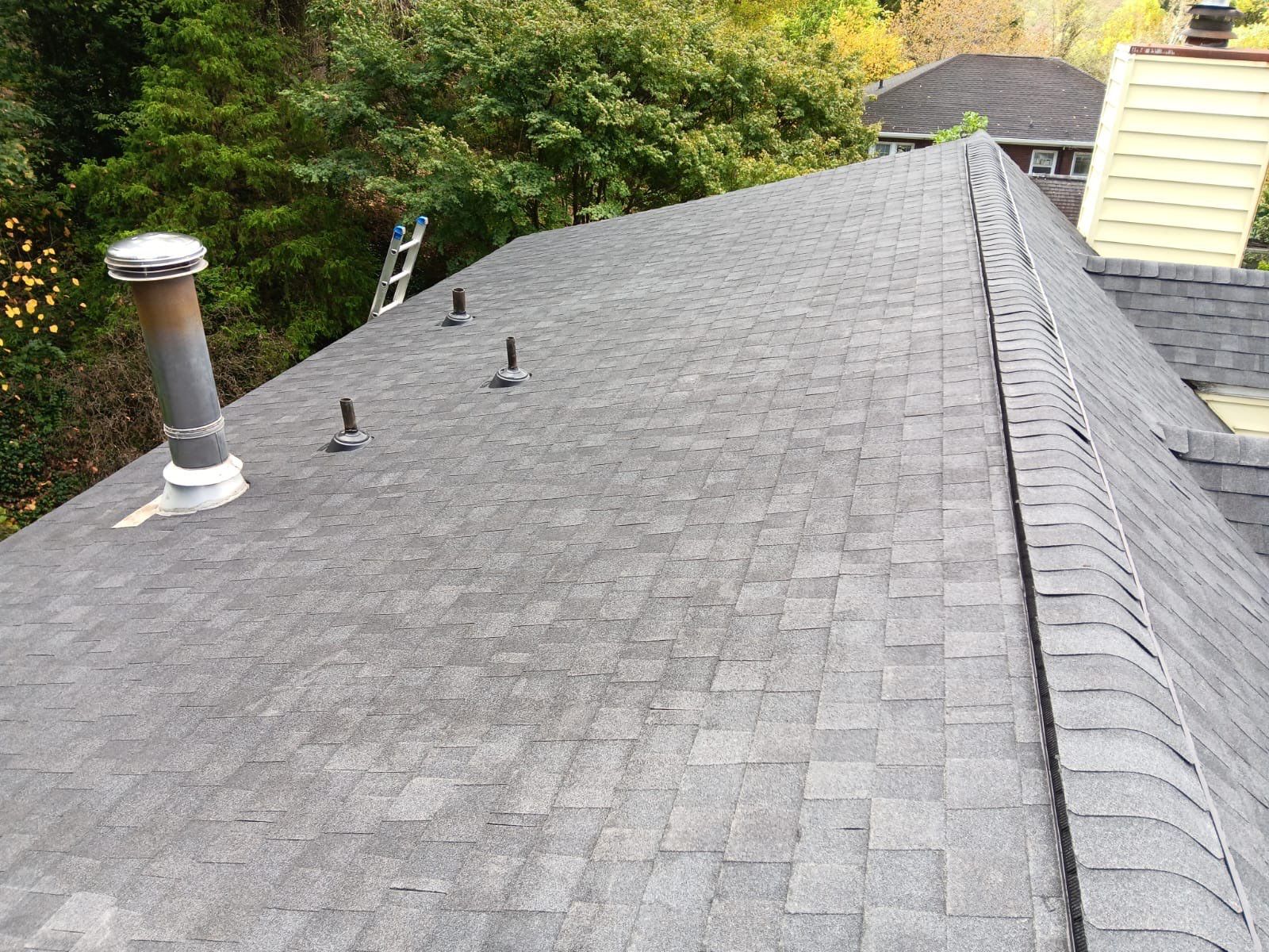 Charcoal Black by John McClung Roofing