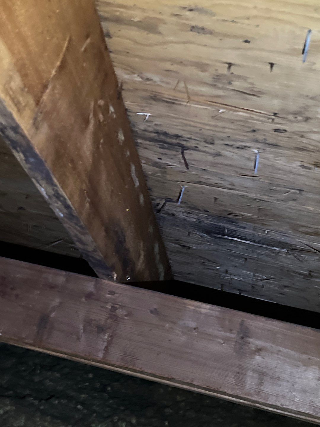 Residential Roofing Repair by Storm Guard of South Metro Denver