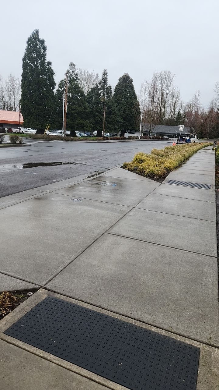 Soft Wash using Soft wash solution by Willamette Outdoor Wash LLC