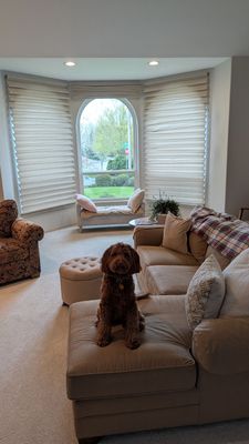 Roman shades in Cedar Hills brightens a view