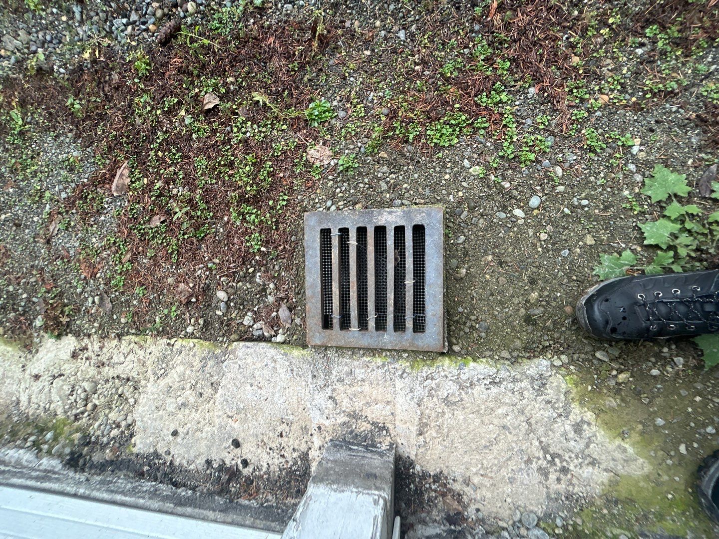 Fadi | Asphalt Driveway by Jireh Asphalt & Concrete Inc 