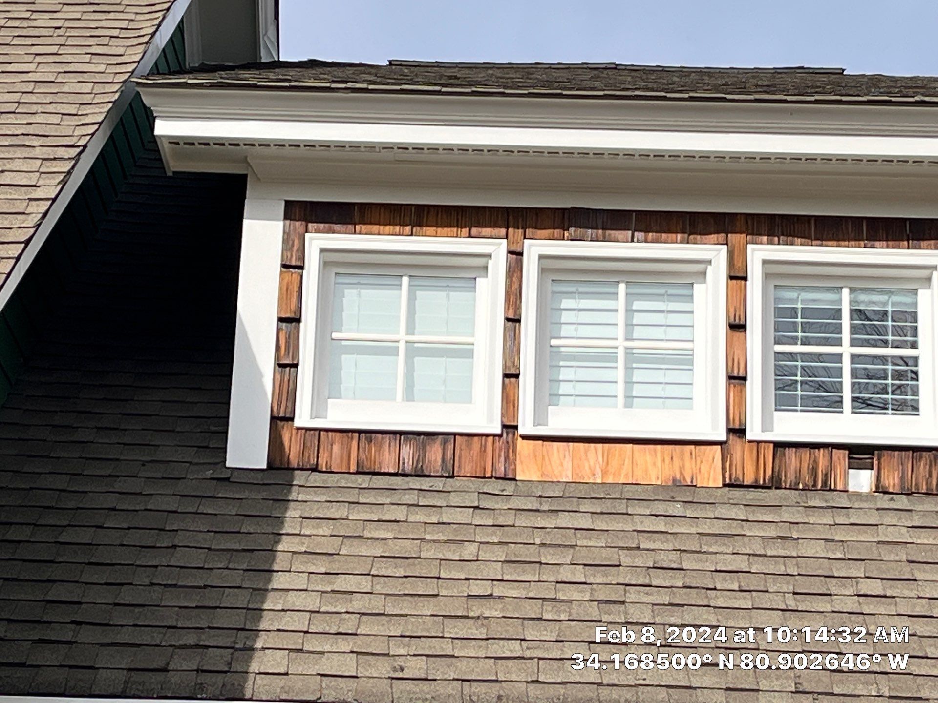 Geaux 2 Guy: Outsmarting Squirrels & Restoring Your Cedar Shingle Haven by Thompson Industrial