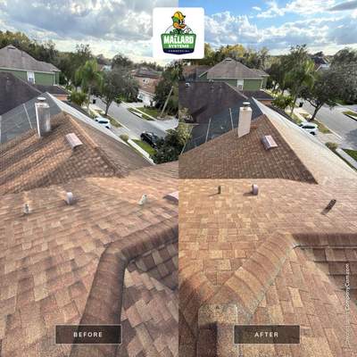 Shingle Roof Cleaning