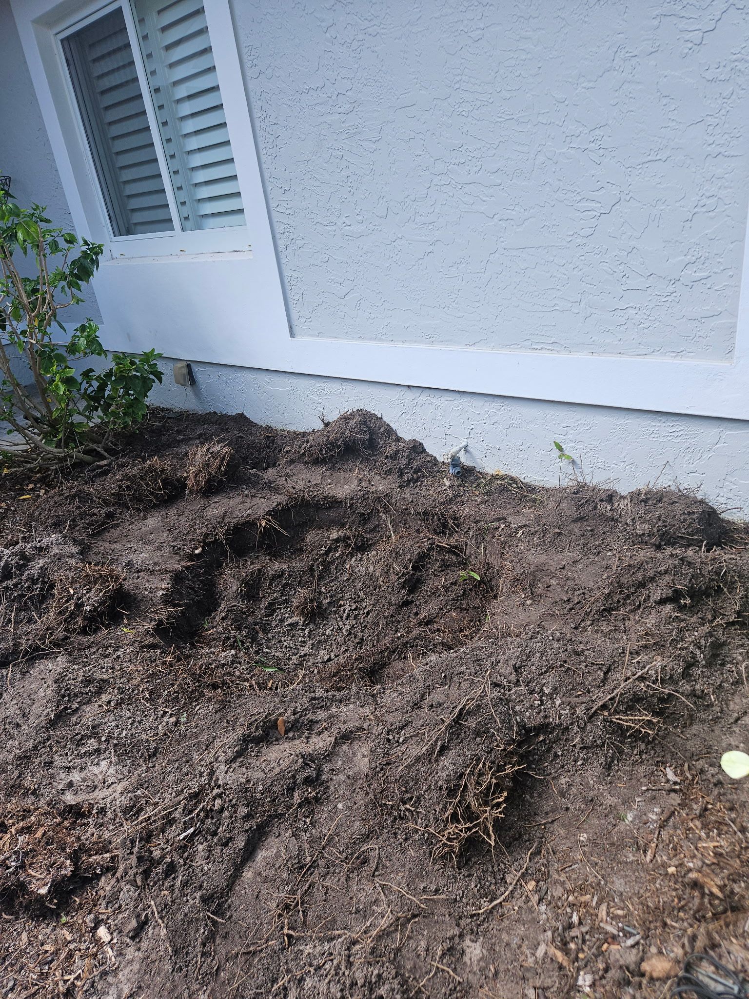 🌴 “Harbour Ridge Haven – A Tropical Revival by Alpha Zeta Landscapes” by Alpha Zeta Enterprises Inc