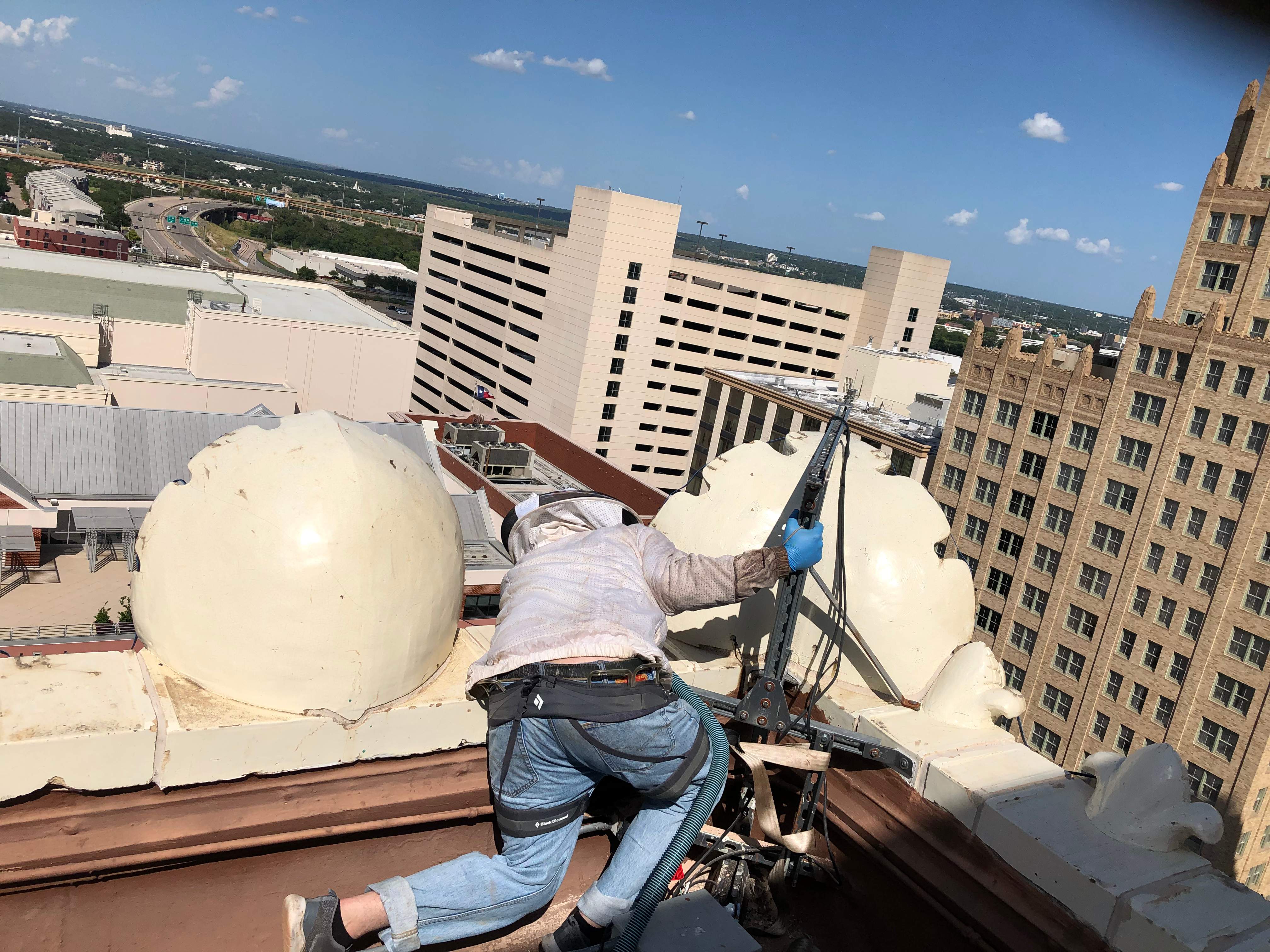 Downtown Highrise by Rockwall Honey Bee Company