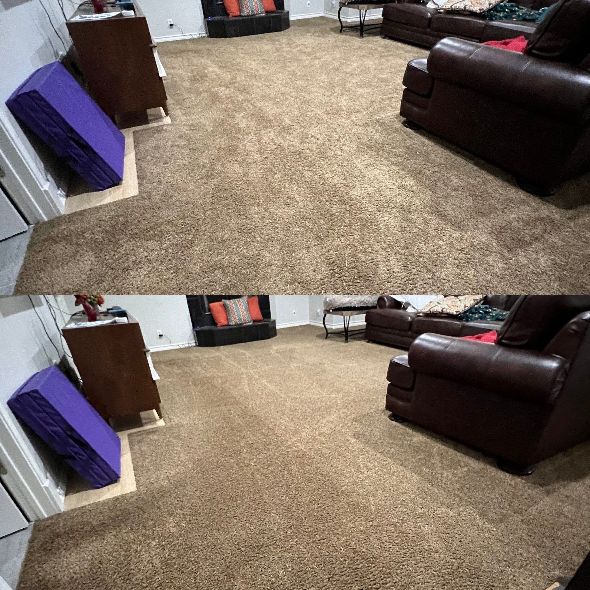 the service being done is carpet cleaning on a living room floor to refresh and remove dirt from the carpet surface