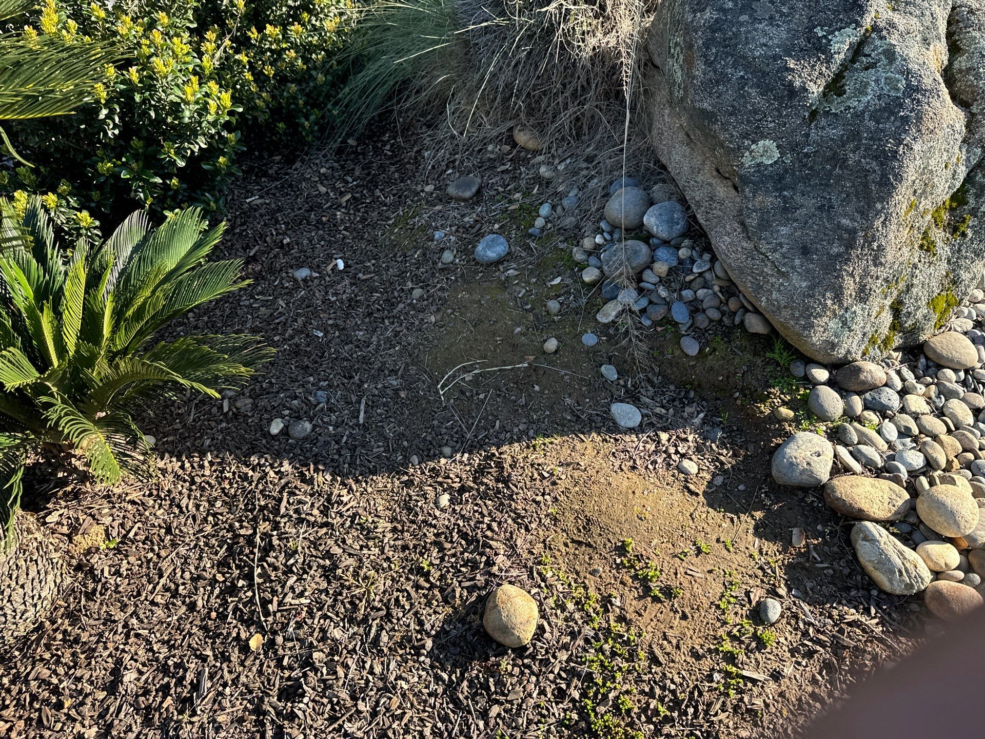 Solar Roof Leak Repair  by Grandmark Service Company