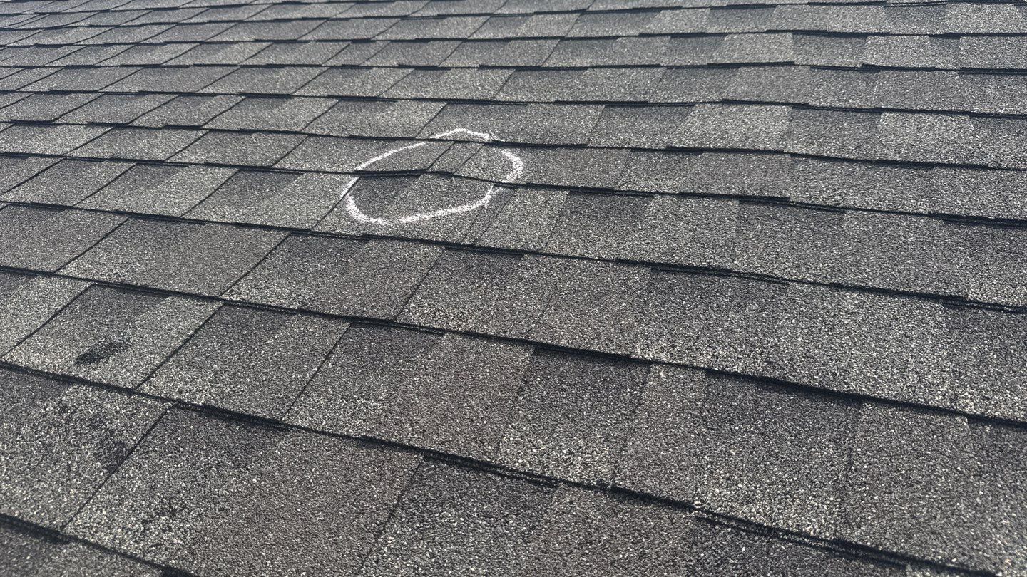 Project in Ponte Vedra by 1 Roof LLC